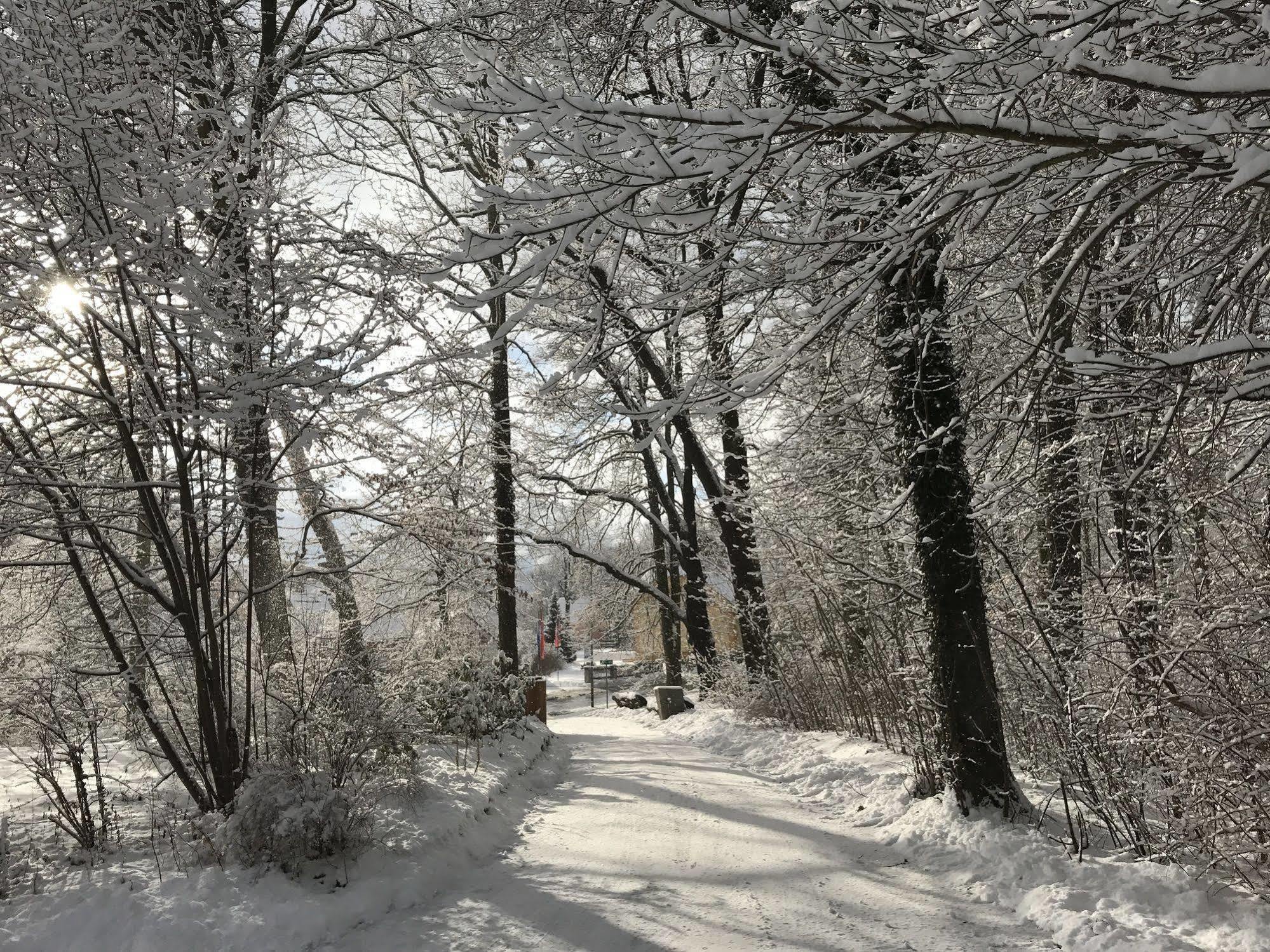 Turmvilla Bad Muskau Eksteriør billede